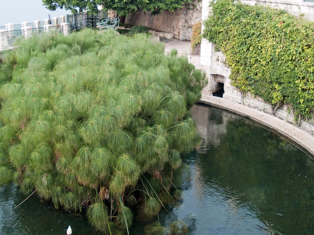Rosa Di Ortigia Apartment Syracuse Ngoại thất bức ảnh